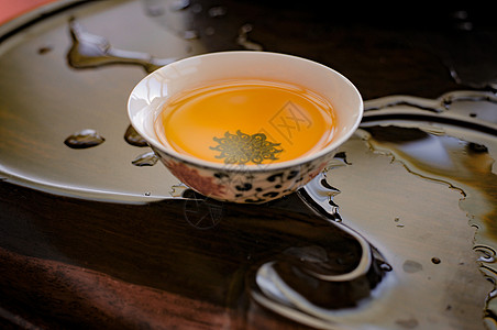 品味古树茶，健康生活源